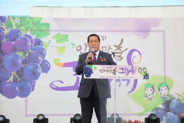 제15회 안성맞춤포도축제