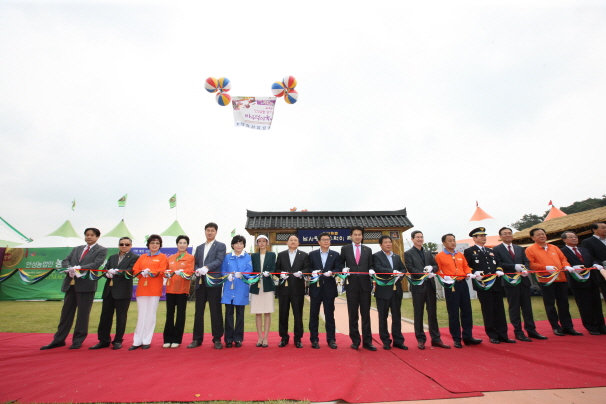 '2013안성맞춤 남사당 바우덕이 축제 개막식' 게시글의 사진(6)