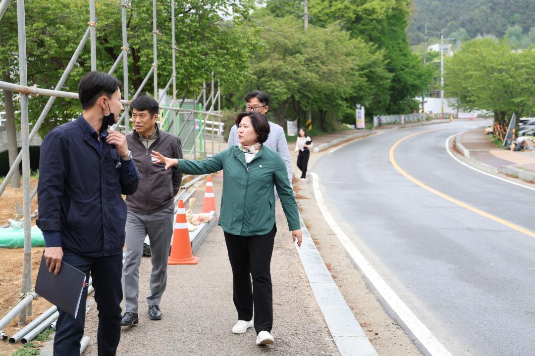 '이관실 의원 안성3동 당왕지구 민원 현장점검' 게시글의 사진(1)