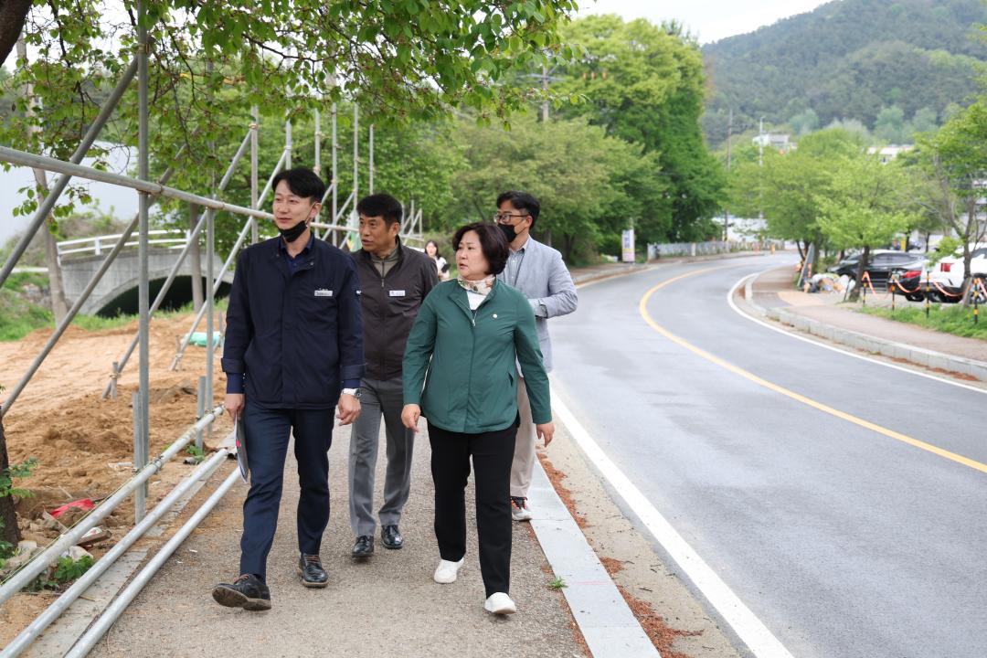 '이관실 의원 안성3동 당왕지구 민원 현장점검' 게시글의 사진(2)