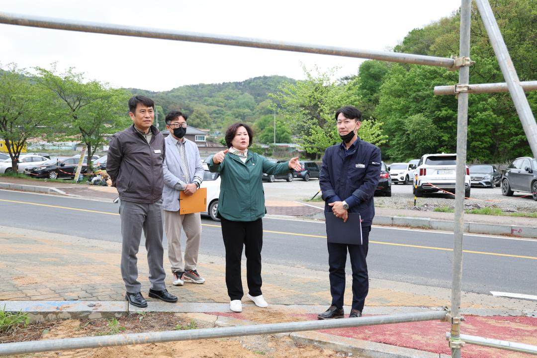 '이관실 의원 안성3동 당왕지구 민원 현장점검' 게시글의 사진(6) 썸네일